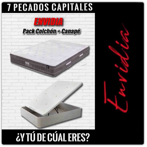 Pack ENVIDIA - VIZIO
