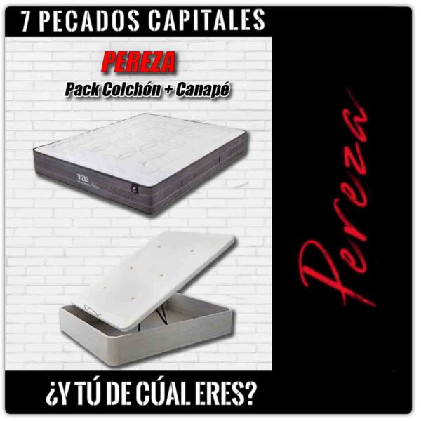 Pack PEREZA - VIZIO