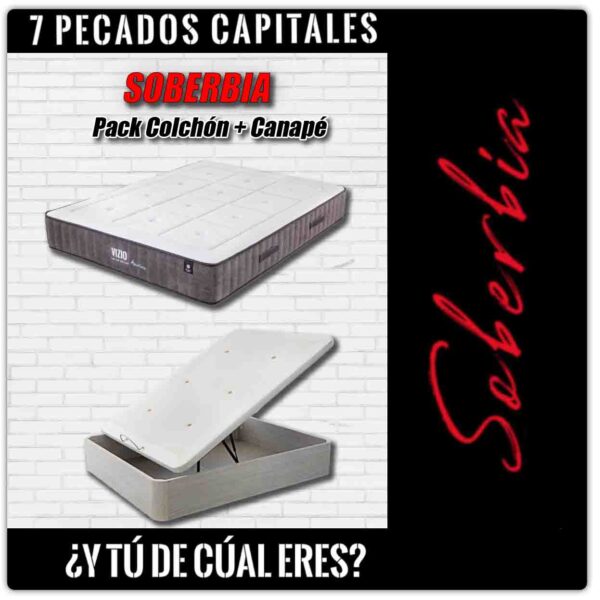 Pack SOBERBIA - VIZIO