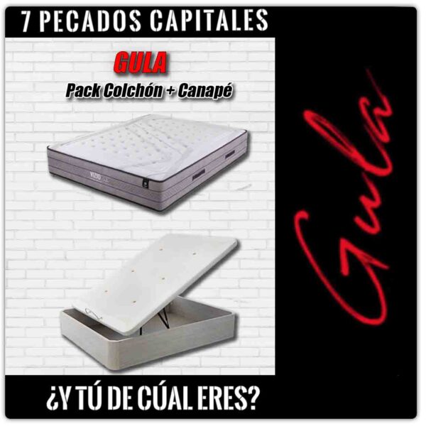 Pack GULA - VIZIO